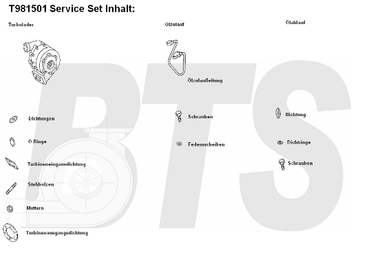 Compresor,sistem de supraalimentare T981501 BTS Turbo